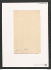 Diatomeae indet. Zeichnungen Sammlung Grunow (NHMW-BOT-W0368748)